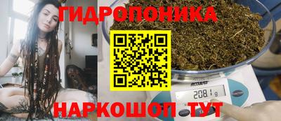 jwh Нальчик