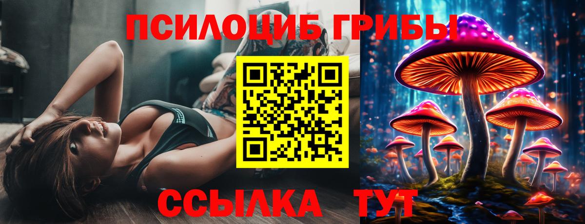 Галлюциногенные грибы Magic Shrooms Сокол