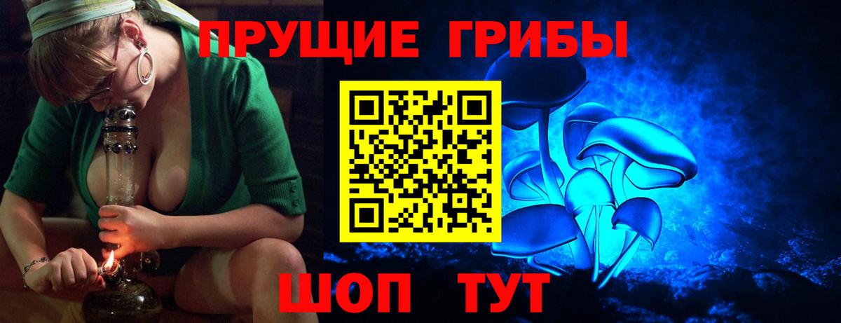 Сокол  Псилоцибиновые грибы ЛСД  Вход с VPN 